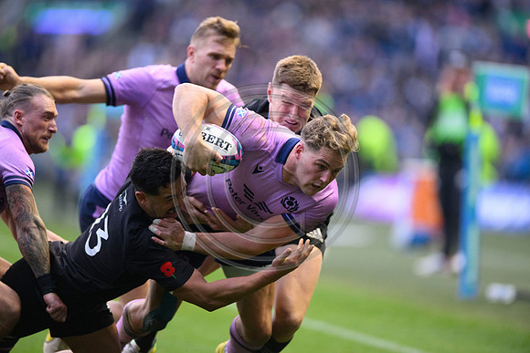 Scotland v New Zealand