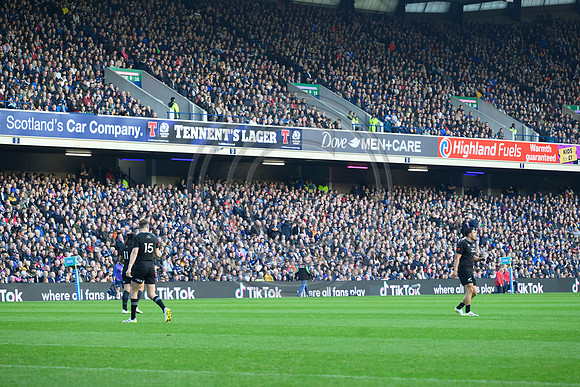 Scotland v New Zealand