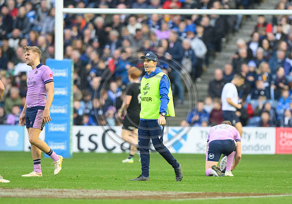 Scotland v New Zealand