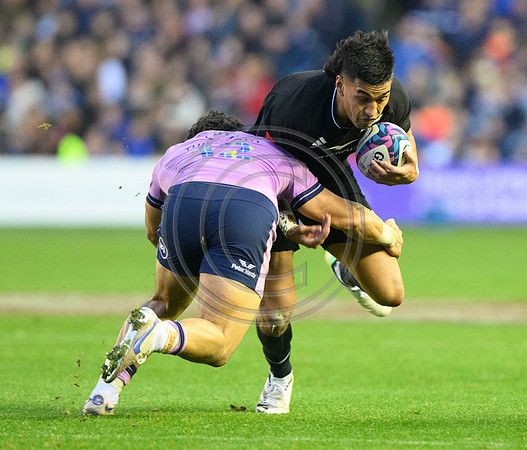 Scotland v New Zealand
