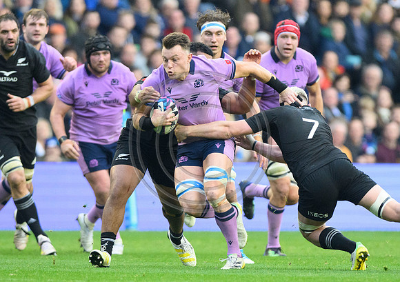 Scotland v New Zealand