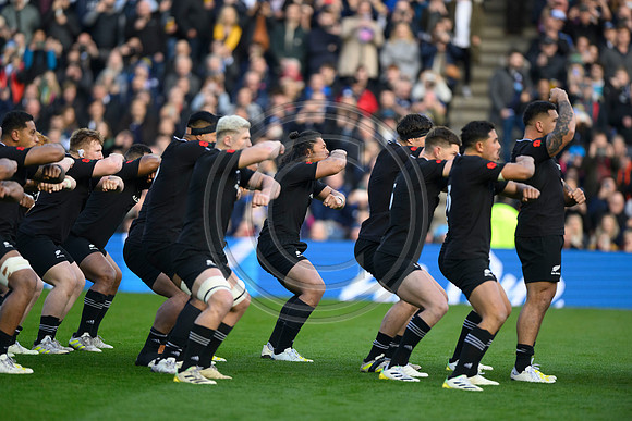 Scotland v New Zealand