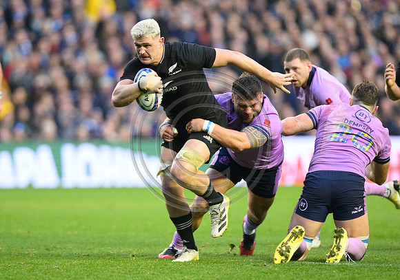 Scotland v New Zealand