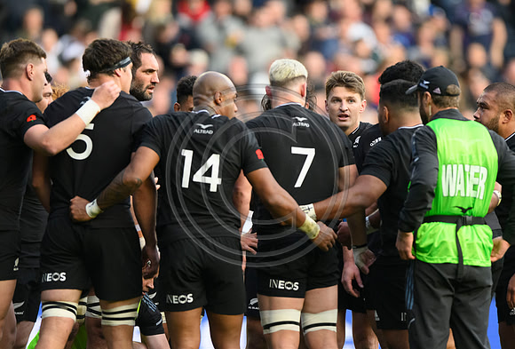 Scotland v New Zealand