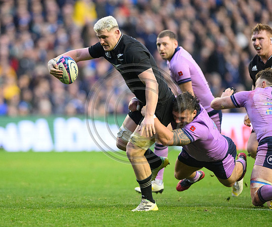 Scotland v New Zealand