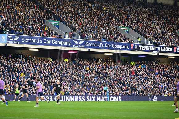 Scotland v New Zealand