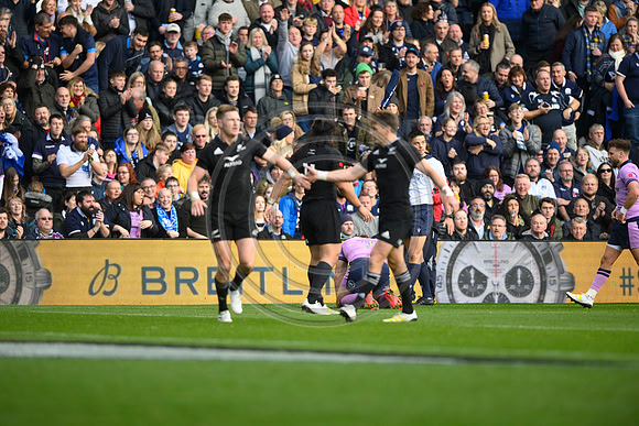 Scotland v New Zealand