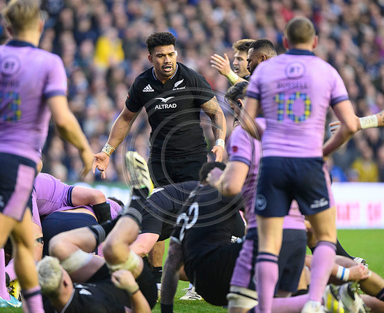 Scotland v New Zealand