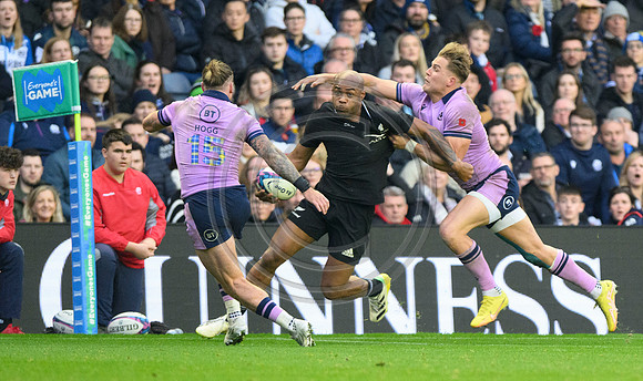 Scotland v New Zealand