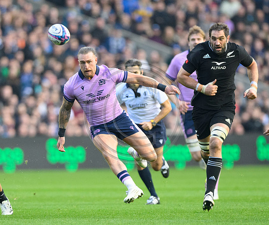 Scotland v New Zealand