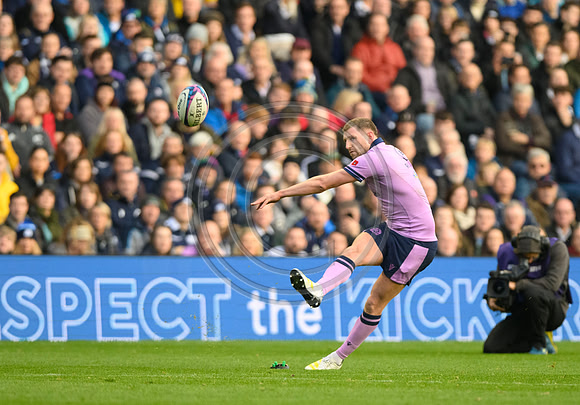 Scotland v New Zealand