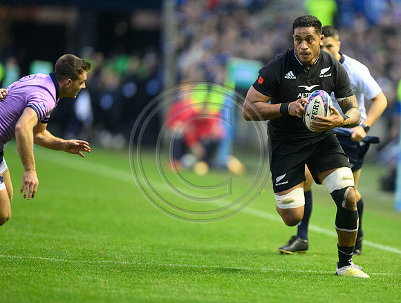 Scotland v New Zealand