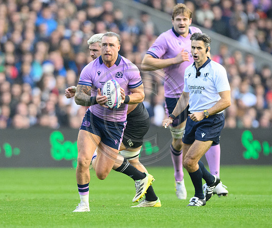 Scotland v New Zealand