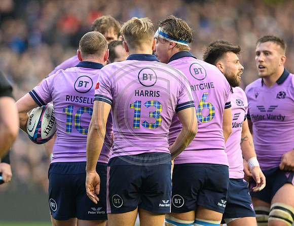 Scotland v New Zealand
