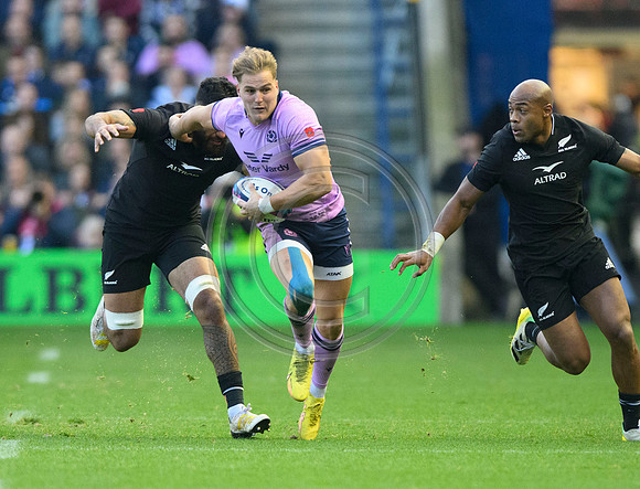 Scotland v New Zealand