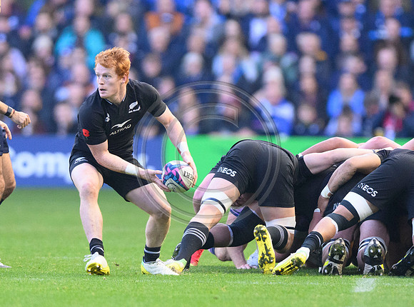 Scotland v New Zealand