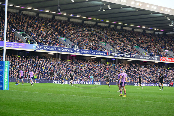 Scotland v New Zealand