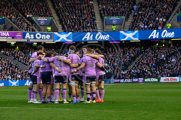 Scotland v New Zealand