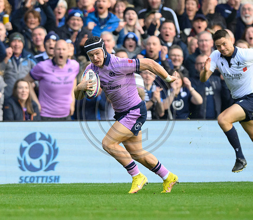 Scotland v New Zealand
