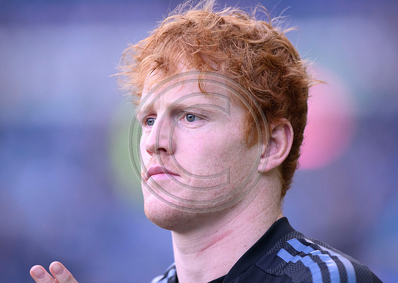 Scotland v New Zealand