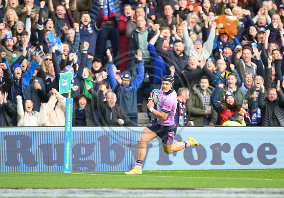 Scotland v New Zealand