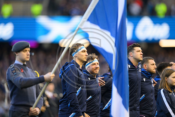 Scotland v New Zealand
