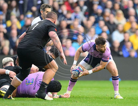 Scotland v New Zealand