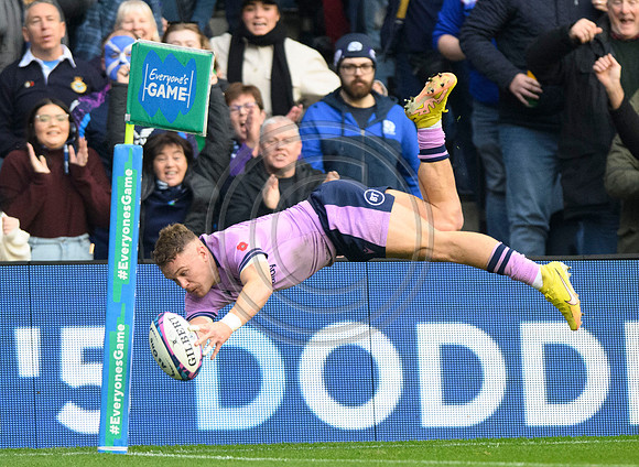 Scotland v New Zealand