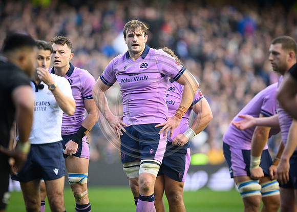 Scotland v New Zealand