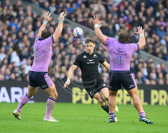 Scotland v New Zealand