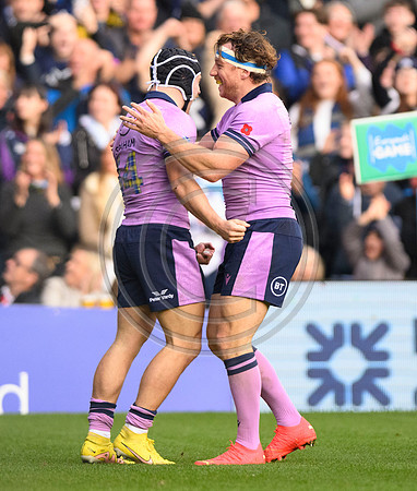 Scotland v New Zealand