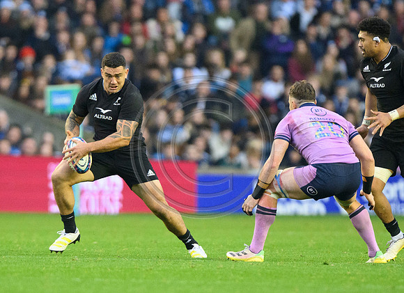Scotland v New Zealand