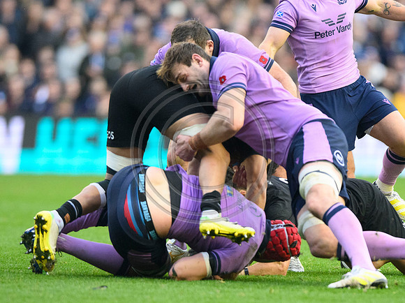 Scotland v New Zealand