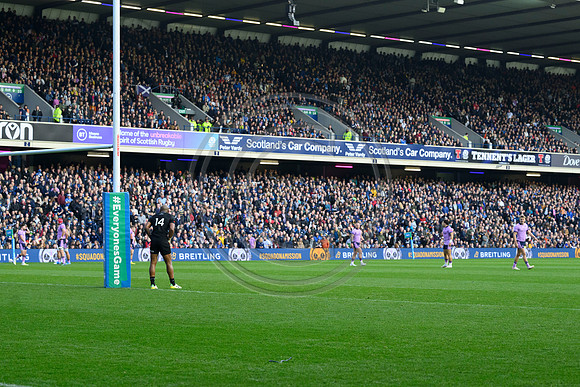 Scotland v New Zealand