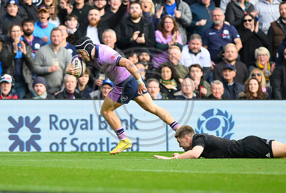 Scotland v New Zealand