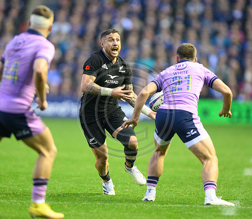Scotland v New Zealand