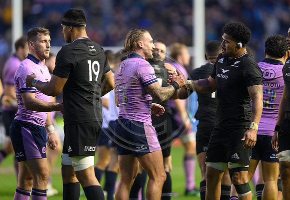 Scotland v New Zealand