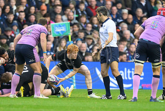 Scotland v New Zealand