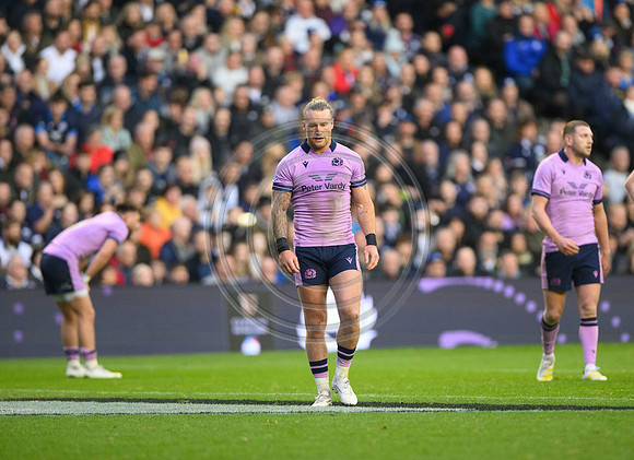 Scotland v New Zealand