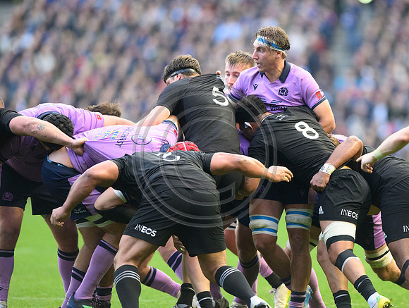 Scotland v New Zealand