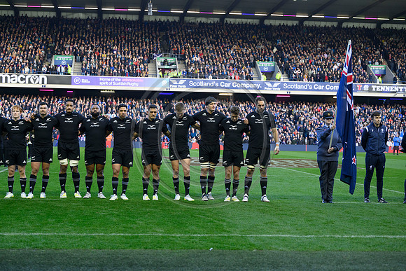 Scotland v New Zealand