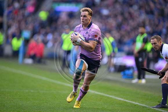 Scotland v New Zealand