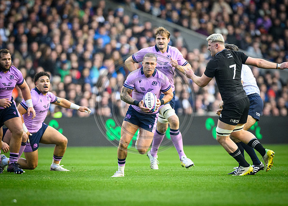 Scotland v New Zealand