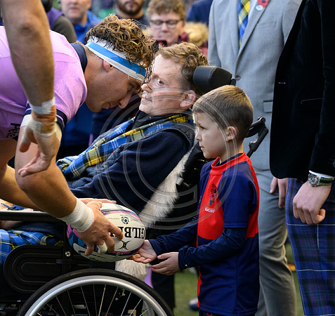 Scotland v New Zealand