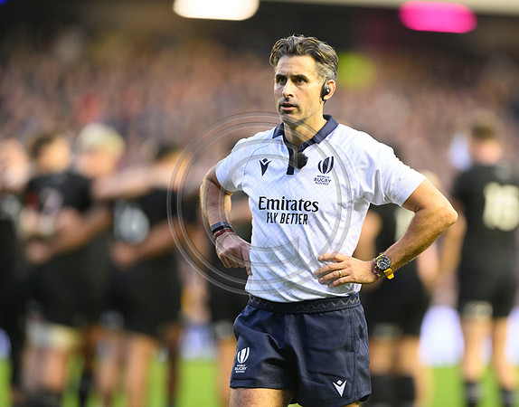 Scotland v New Zealand