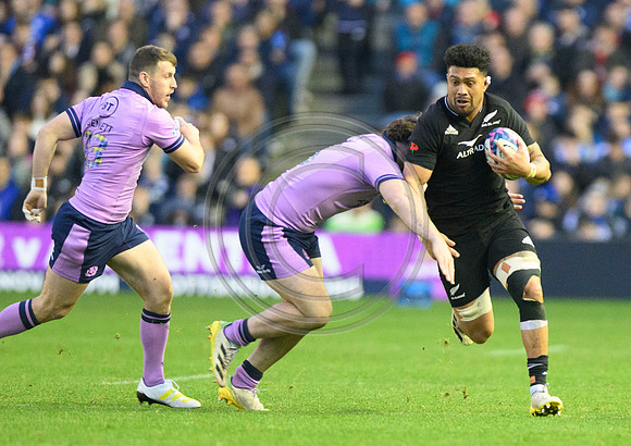 Scotland v New Zealand