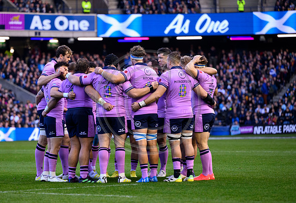 Scotland v New Zealand