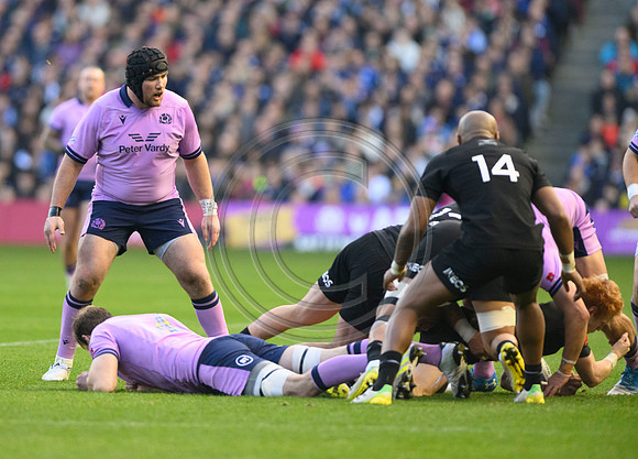 Scotland v New Zealand