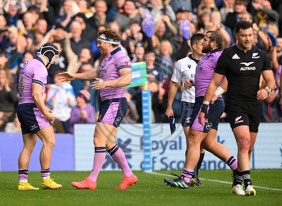 Scotland v New Zealand