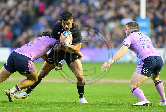 Scotland v New Zealand
